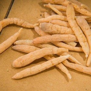 Adaptogen Superfood, Raíz de Ginseng Mild <span class=keywords><strong>Prince</strong></span>, Auténtico Zherong Fujian Tai Zi Shen, Sin Azufre, para Sopa y Té - Product Image 4