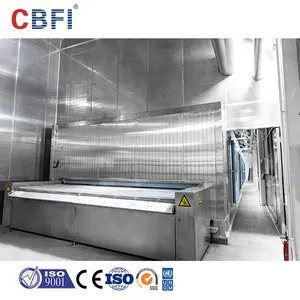Tunnel Iqf Quick Freezer For Shrimp Chicken Quick Freezer Iqf Spiral Freezer Quick Freezing Machine