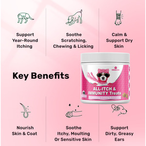 مصنع تصنيع المعدات الأصلية مخصص للقطط والكلاب مكملات مضغ متعددة الفيتامينات تحسين مكملات الرعاية الصحية للحيوانات الأليفة جميع علاجات المناعة للحكة - Product Image 3