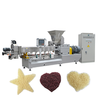 Riz de pomme de terre fécule de pomme de terre Ligne de production de riz Riz enrichi Machine d'extrudeuse de konjac nutritionnelle