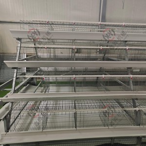 Équipement pour cages à volailles, système de nettoyage automatique des déchets pour 192 oiseaux, solution de production d'œufs commerciale, conception en acier Q235 - Product Image 6