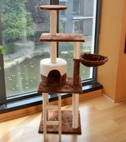 Arbre à chat bicolore avec niche ronde fermée, hamac latéral en tissu, échelle à marches en sisal et plusieurs colonnes en sisal pour animaux de compagnie