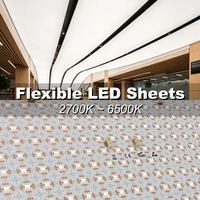 Feuille LED Flexible Personnalisable CCT 2700K~6500K Blanc Tunable DC24V Panneau Lumineux 480x240mm 400 LED pour Panneau Publicitaire Commercial