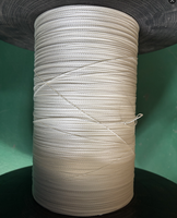 Cuerda Plana de Aramida UHMWPE de 0.6mm, Cuerda para Cometa de Alta Resistencia y Ligera, Línea de Vuelo para Parapente, Hilo Trenzado Resistente al Desgaste