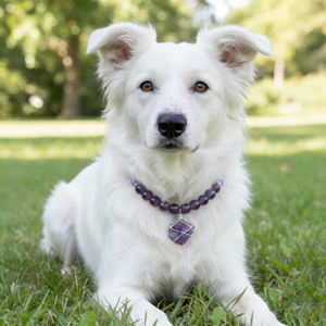 2026 Pet Healing Crystal Necklace Natural Pet Products Dog <b>Cat</b> Neck Collar Set Pet Accessories <b>Gift</b> - Product Image 4