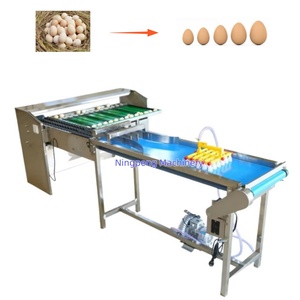 Macchina automatica per la classificazione delle uova macchina per smistare le uova di piccolo tipo uovo + taglia + livellatrice + con candela NP di marca - Product Image 6