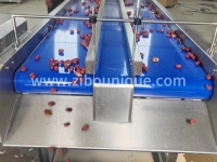 Automatische Palmdadels Droogborstelwasmachine Datum Fruitreiniging Sorteerproductielijn