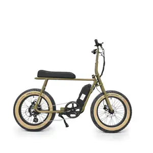 Electric Bike OEM Factory Fat Electric Bicycle Golden Supplier 20 Inch Super Aluminum Alloy Mini Frame