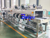 Ligne de pasteurisation Baiyu pour emballages souples avec température et vitesse réglables pour légumes marinés, yaourts et viandes