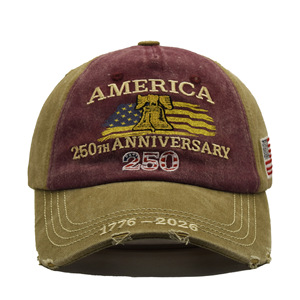 Gorra de Béisbol Bordada de PVC de 6 Paneles de Tela de Algodón, Ajustable, con Protección Solar, para las Cuatro Estaciones, Conmemorativa del 250 Aniversario de EE. UU. - Product Image 2