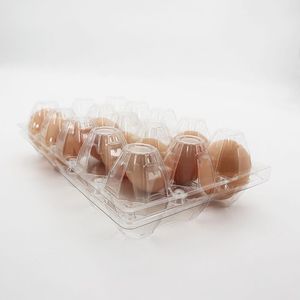 High Quality Plastic quail egg cartons 6 pack eggs tray carton