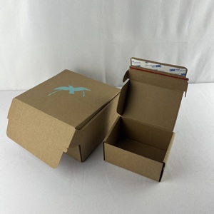 Biểu tượng tùy chỉnh bảng sóng vận chuyển hộp với dây kéo bưu phẩm đăng ký hộp thể thao hộp các tông bao bì với chất kết dính - Product Image 3