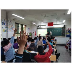 Modelo anatómico de Enseñanza Médica de 85 cm, esqueleto de hueso <span class=keywords><strong>humano</strong></span> con <span class=keywords><strong>sistema</strong></span> vascular cardíaco para ciencia médica, 1 unidad - Product Image 3