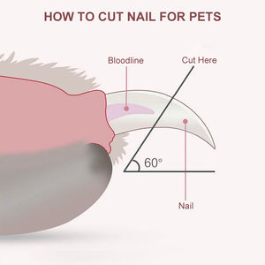 Coupe-ongles LED <span class=keywords><strong>pour</strong></span> chat et <span class=keywords><strong>chien</strong></span> Coupe-griffes professionnel <span class=keywords><strong>pour</strong></span> animaux domestiques Serrure de sécurité Nettoyage <span class=keywords><strong>pour</strong></span> chiens Chiots Chaton Animaux Outils de toilettage - Product Image 4