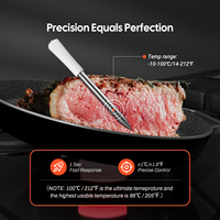 Termometer daging nirkabel Mini INT-11I-B, termometer daging IP67 Bluetooth 5.4, 1.000 kaki/305m untuk memasak di dapur