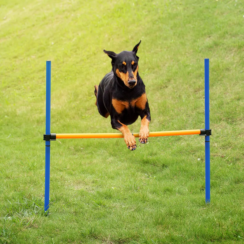 Outdoor Hond Trainingsapparatuur Hond Agility Pole Interactieve Spelen Grappige Vetements Agility