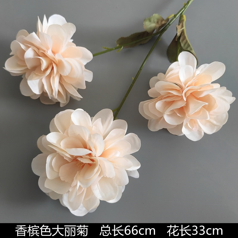 ดอกเบญจมาศใหญ่สามดอก