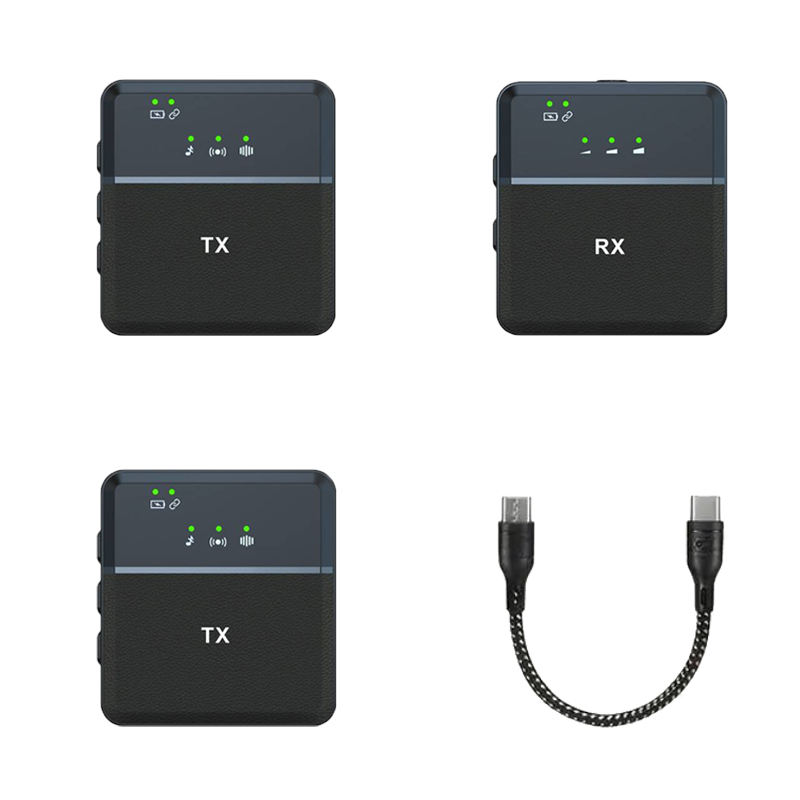 SX9 2 Microphone-Type C