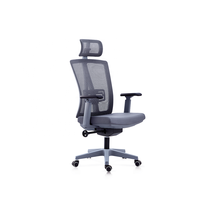Chaise de bureau ergonomique moderne et contemporaine à dossier haut, réglable en hauteur, pivotante, en maille, certifiée BIFMA, en acier inoxydable, nylon et aluminium