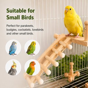 Juego de hamacas de madera para pájaros, 4 piezas, plataforma con escalera y columpio para loros y pájaros pequeños - Product Image 1