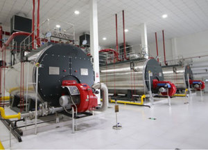 <span class=keywords><strong>Caldera</strong></span> de Agua Caliente de Bajo Contenido de NOx Serie WNS, Diseño Compacto y Montado sobre Plataforma, Fácil <span class=keywords><strong>Instalación</strong></span> y Ahorro de Espacio - Product Image 1