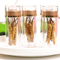Flor Cordyceps de alta calidad Cordyceps militaris cordiceps Cordyceps sinensis