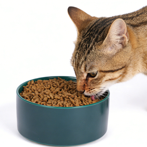 Wholesale Custom Logo Ceramic Cat <strong>Dog</strong> Pet <strong>Bowls</strong> - Product Image 4