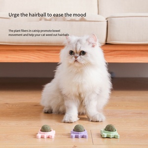 Lynpet, оптовая продажа, кошачья мята, настенная игрушка, современный мультяшный стиль, жевательные лакомства для собак, картонная упаковка - Product Image 5