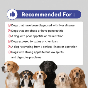 Custom <strong>Milk</strong> Thistle Liver Soft <strong>Chews</strong> for Pets Kidney Health Supplement for Dogs Cats Liver Support <strong>Chews</strong> - Product Image 6