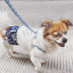Pañales para Perros NAMSAN, Tela de Malla Transpirable, Pañales para Perros Adultos - Product Image 2