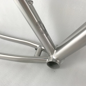 Chải tùy chỉnh sỏi Titan đường xe đạp khung cho 42C lốp - Product Image 3