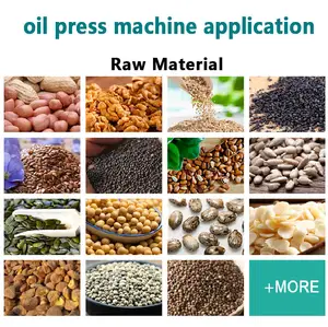 Professional Oil Press Machine Sunflower Cooking Oil Press Machine Macadamia Nut Oil Press