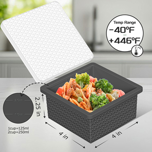 Custom Silicone Ice Tray Mold Microwavable 1 Cup Freezer Safe Food Grade Eco-Friendly Baby Ice Cream Storage Flip Top Printing - Product Image 4