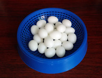 Nid en plastique durable pour pigeons, bol de reproduction et d'éclosion pour pigeons de course, fournitures pour animaux de compagnie