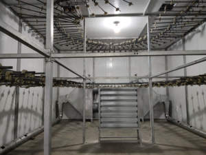 فرن تانري صناعي ثابت درجة الحرارة والرطوبة من تايلي، معدات جلدية - Product Image 3