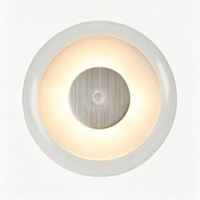 Lámpara de Cortesía Automotriz Redonda Compacta de 12-24V con Anillo LED Cálido y Disco Decorativo de Aluminio para Lectura en el Asiento Trasero