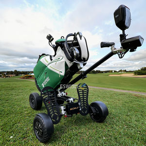 Pour ESWING haute qualité 4 roues gros pneu électrique Golf Scooter pousser chariot moteur sans balais Fairway Runner à vendre - Product Image 2