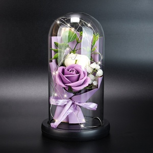 Vera rosa con Rose stabilizzate a luce LED in vetro cupola di fiori eterni per ragazza donna regalo di san valentino rosso rosa Ainy - Product Image 3