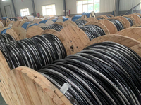 Cable de Servicio Eléctrico de Aluminio Trenzado Dúplex, Triplex, Cuádruple, 6, 4, 2 AWG, Negro XLPE 2+1 1+1