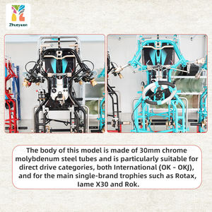 Zhuoyuan Professional Senior Adult Racing Go Kart 2 temps pour châssis de voiture Karting à essence OK pour classe à conduite directe - Product Image 3