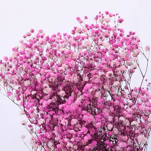 M3-120g Fabrik Großhandel getrocknete Blumen konserviert natürliche Gypsophila Babys Atems trauß für Hochzeit Blumen blumen arrangement