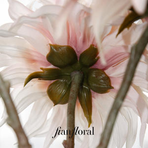 زهور الداليا الاصطناعية عالية الجودة من مصنع فونغ إيان، زهور حريرية تبدو طبيعية، الأكثر مبيعًا - Product Image 2