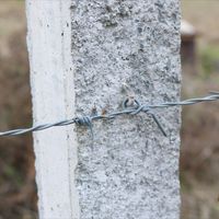Alambre de Hierro Galvanizado de Larga Duración, Alambre de Púas de Doble Hilo en Rollo para Seguridad y Prisiones, para Uso en Granjas y Campos