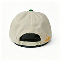 Gorra de Béisbol Clásica de 5 Paneles Estilo Americano OEM de Alta Calidad, Nueva Gorra Snapback de Alta Calidad con Patrón de Puntos Impresos y Bordado Plano