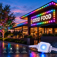 Module LED RGB 24V à pixels adressables UCS1903, éclairage LED étanche IP67, chaîne de pixels programmable pour signalétique et décoration de bâtiments
