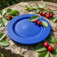 Assiettes plates rondes en mélamine bleu cobalt aspect céramique Bestwares en gros – Vente directe usine