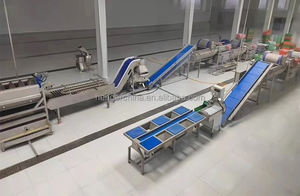 Fabricante personalizado automático de patatas fritas que hace la máquina precio francés patatas fritas máquina línea de procesamiento - Product Image 3