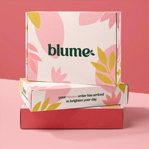 Fabricación de buena calidad Caja Ssorpresa Juguetes Mailer Box Cosméticos Mailing Cajas de embalaje - Product Image 1