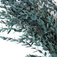 100g naturel séché éternel feuilles d'eucalyptus séchées bouquet mince véritable vert eucalyptus feuille fine fleuriste bouquet douche