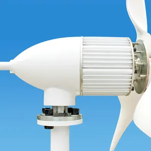 1000W 1500W 2000W 48V Windturbine Dak Turbine Wind En Zonne-Energie Hybride Systemen Horizontale Windturbine